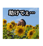 すがどんだからよ！！（個別スタンプ：40）