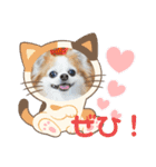 チワワのポッキー♡♡（個別スタンプ：13）