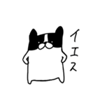 フレブルみたいなボストンテリア（個別スタンプ：9）