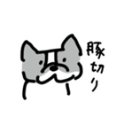 若いボストンテリア（個別スタンプ：2）