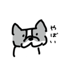 若いボストンテリア（個別スタンプ：7）