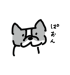 若いボストンテリア（個別スタンプ：10）