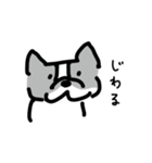若いボストンテリア（個別スタンプ：14）
