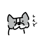 若いボストンテリア（個別スタンプ：15）