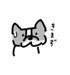 若いボストンテリア（個別スタンプ：17）