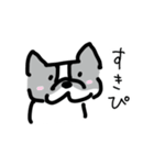 若いボストンテリア（個別スタンプ：20）