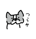 若いボストンテリア（個別スタンプ：22）