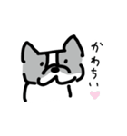 若いボストンテリア（個別スタンプ：24）