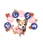 モカ*（個別スタンプ：6）