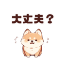 かわいい柴犬くん 修正版（個別スタンプ：4）