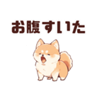 かわいい柴犬くん 修正版（個別スタンプ：8）