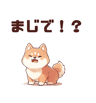 かわいい柴犬くん 修正版（個別スタンプ：12）