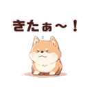 かわいい柴犬くん 修正版（個別スタンプ：14）