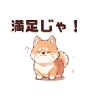 かわいい柴犬くん 修正版（個別スタンプ：15）