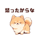 かわいい柴犬くん 修正版（個別スタンプ：24）