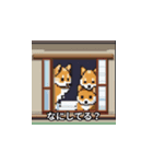 柴犬 ひま（個別スタンプ：6）