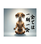 【座禅犬】日常で使える沁みる言葉（個別スタンプ：10）