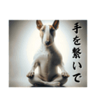 【座禅犬】日常で使える沁みる言葉（個別スタンプ：16）