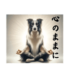 【座禅犬】日常で使える沁みる言葉（個別スタンプ：23）