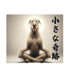 【座禅犬】日常で使える沁みる言葉（個別スタンプ：24）