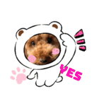 トイプードル ロック3（個別スタンプ：4）