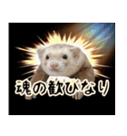 フェレズスタンプ⑥（個別スタンプ：3）