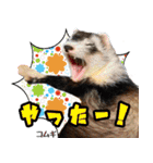 フェレズスタンプ⑥（個別スタンプ：12）