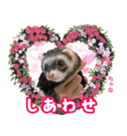 フェレズスタンプ⑥（個別スタンプ：13）