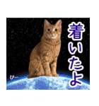 フェレズスタンプ⑥（個別スタンプ：21）