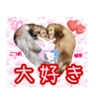 フェレズスタンプ⑥（個別スタンプ：38）