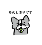 鼻ぺちゃ犬の使える敬語（個別スタンプ：26）