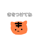 猫か虎か 日常でつかいやすいスタンプ（個別スタンプ：5）