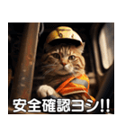 現場猫〜工事編〜（個別スタンプ：1）