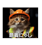 現場猫〜工事編〜（個別スタンプ：4）