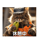 現場猫〜工事編〜（個別スタンプ：5）