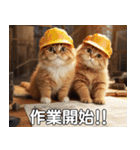 現場猫〜工事編〜（個別スタンプ：14）