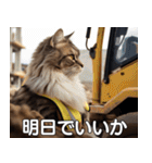 現場猫〜工事編〜（個別スタンプ：15）