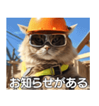 現場猫〜工事編〜（個別スタンプ：17）