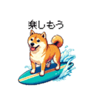 ドット絵 サーファー 柴犬 40種 サーフィン（個別スタンプ：1）