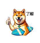 ドット絵 サーファー 柴犬 40種 サーフィン（個別スタンプ：2）