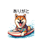 ドット絵 サーファー 柴犬 40種 サーフィン（個別スタンプ：4）