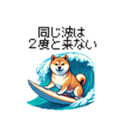 ドット絵 サーファー 柴犬 40種 サーフィン（個別スタンプ：7）