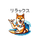 ドット絵 サーファー 柴犬 40種 サーフィン（個別スタンプ：12）