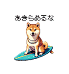 ドット絵 サーファー 柴犬 40種 サーフィン（個別スタンプ：13）