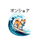 ドット絵 サーファー 柴犬 40種 サーフィン（個別スタンプ：16）