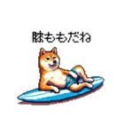 ドット絵 サーファー 柴犬 40種 サーフィン（個別スタンプ：18）