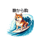 ドット絵 サーファー 柴犬 40種 サーフィン（個別スタンプ：20）