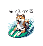 ドット絵 サーファー 柴犬 40種 サーフィン（個別スタンプ：24）