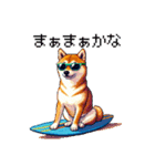 ドット絵 サーファー 柴犬 40種 サーフィン（個別スタンプ：30）