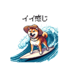 ドット絵 サーファー 柴犬 40種 サーフィン（個別スタンプ：32）